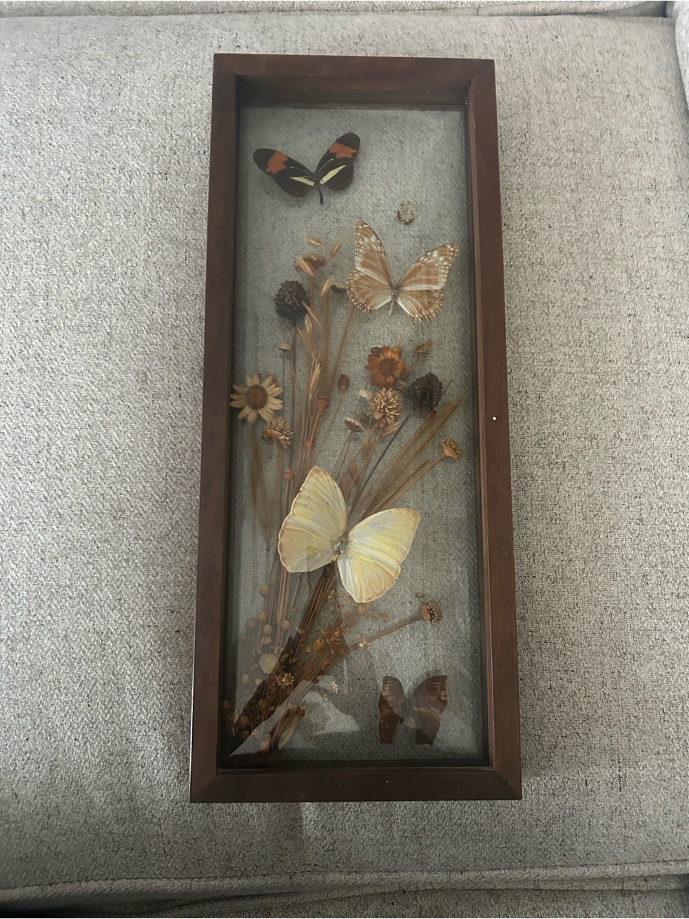 Vintage Butterfly Insect Specimen W/Flowers Shadow Boxes Taxidermy Display